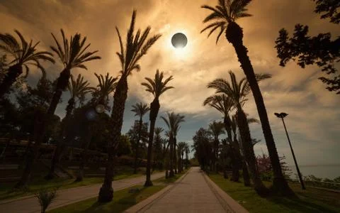 Total solar eclipse, palm avenue in resort city Stock Photos