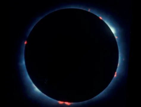 A total solar eclipse with prominences Fotos Stock