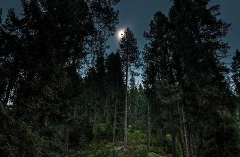 Total Solar Eclipse of the Sun Stock Photos