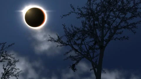 Total solar eclipse viewed through silhouette of bare tree. 4K Video stock 343243914