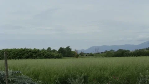 Total wide view of grass field in the countryside 스톡 동영상 158836171