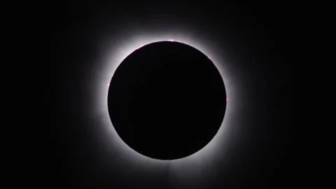 Totality - 2024 Total Solar Eclipse - Arkansas 스톡 동영상 272494127