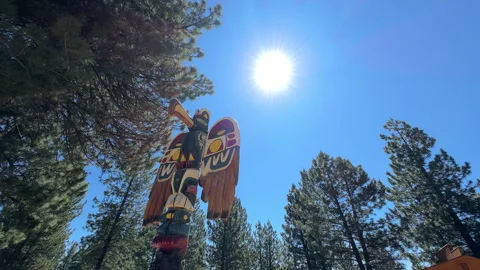 Totem Pole and The Sun Stock Footage 245840122