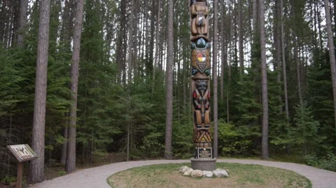 Totem pole - pan down Stock Footage 68655878