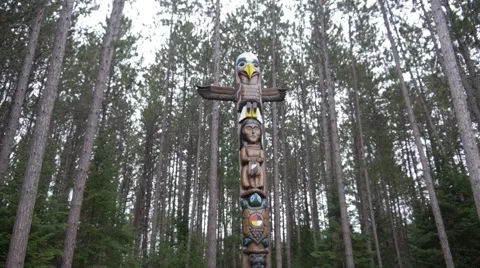 Totem pole - pan up to sky Stock Footage 68655886