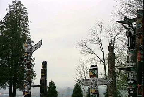 Totem Poles Stock Footage 356610