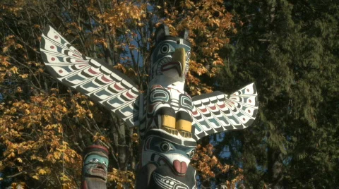 Totem Poles in Stanley Park - Canada Stock Footage