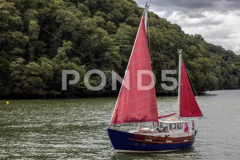TOTNES, DEVOV/UK - JULY 29 : Sailing up the River Dart near Totnes on July 29 Stock Photos