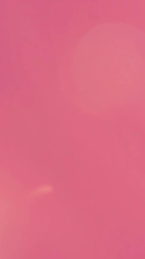 Toto Stock Footage 268453974