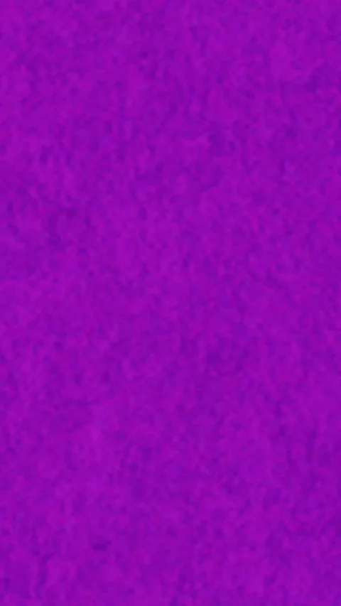 Toto Stock Footage 269641478