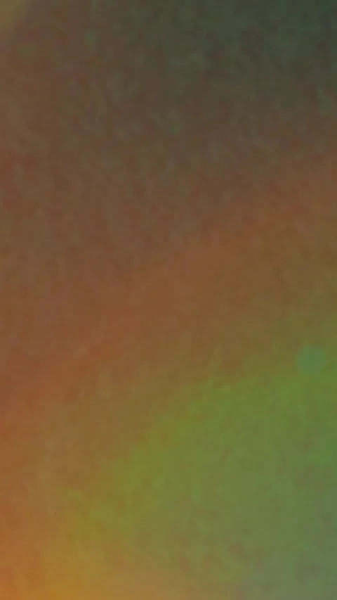 Toto Stock Footage 269644668