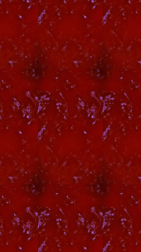 Toto 動画素材 269795579