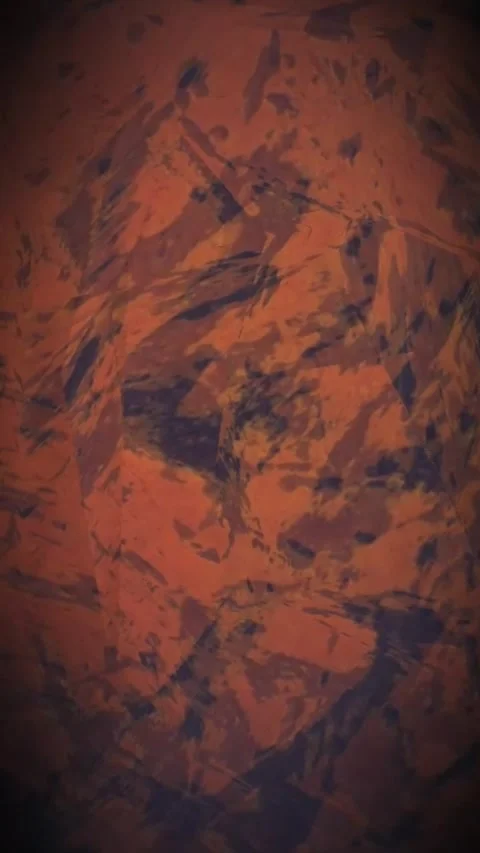 Toto 動画素材 270114323