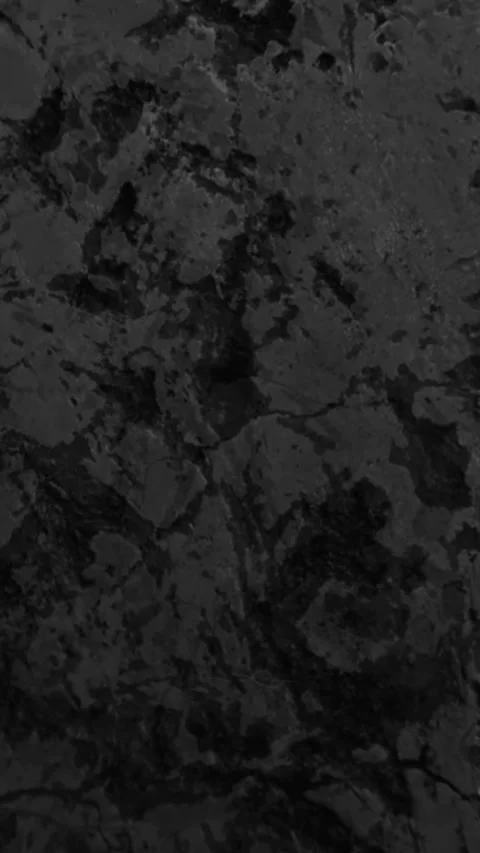 Toto Stock Footage 270114327