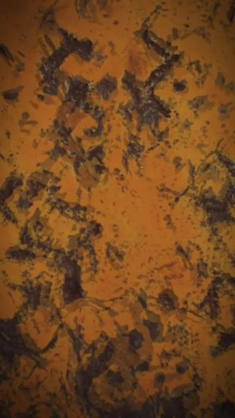 Toto 動画素材 270114328