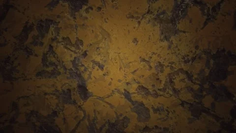 Toto Stock Footage 270114335