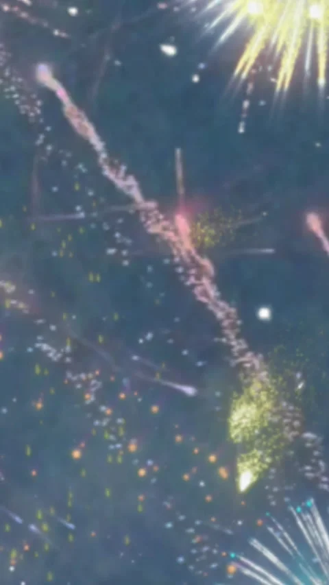 Toto Stock Footage 270228406