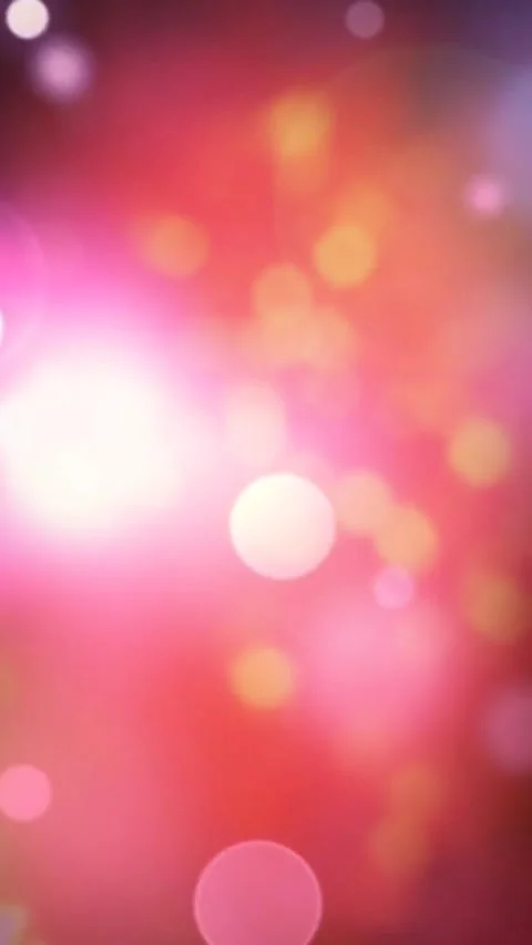 Toto Stock Footage 271359548