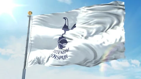 Tottenham Stock Footage 151216866