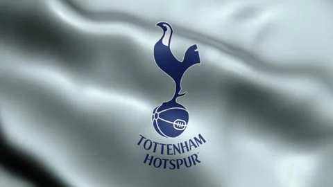 Tottenham Hotspur Flag video waving in wind  Tottenham Hotspur Flag Wave Loop wa Stock Footage 245358076