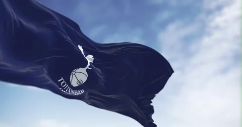 Tottenham Hotspur flag waving on a clear day Stock Footage 251496319