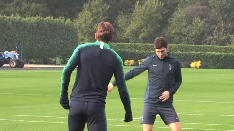 Tottenham squad train ahead of Champions League game against PSV Eindhoven Stock Footage 148629831