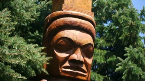 Totum Pole pan up Vídeo Stock 11383602