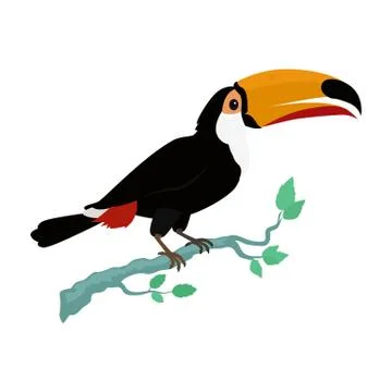 Toucan Bird Flat Design Vector Illustration Stock Illustration