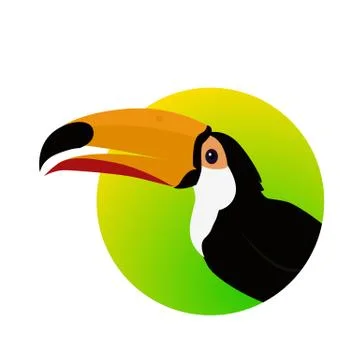 Toucan Bird Flat Design Vector Illustration Stock Illustration
