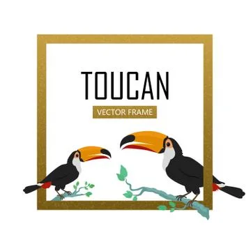 Toucan Bird Flat Design Vector Illustration Stock Illustration