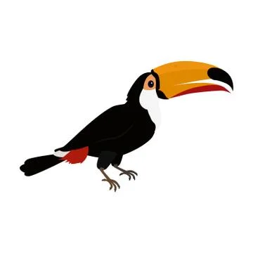 Toucan Bird Flat Design Vector Illustration Stock Illustration