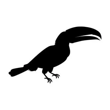 Toucan Bird Flat Design Vector Illustration Stock Illustration
