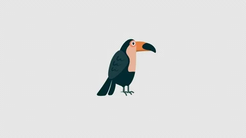 Toucan Bird icon loop Animation video transparent background with alpha chann Stock Footage 234065939