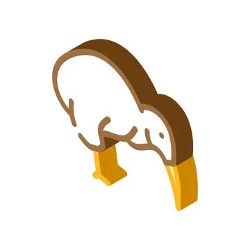 Toucan bird isometric icon vector illustration イラスト素材
