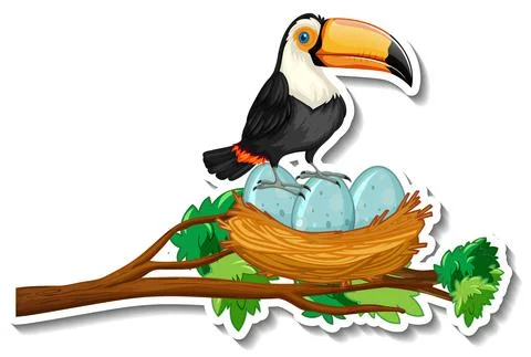 Toucan bird with many eggs on a tree branch Stock Illustration