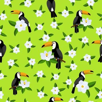 Toucan bird pattern, flat style イラスト素材