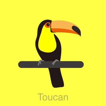 Toucan bird standing on a branch, vector illustration Stock Illustration