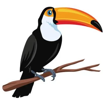Toucan Bird Vector Illustration Stock Illustration