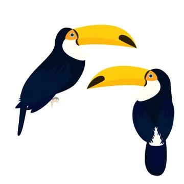 Toucan bird vector illustration Stockillustratie