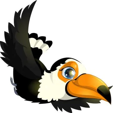 Toucan cartoon Stock Illustration