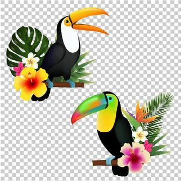 Toucan Collection Stock Illustration