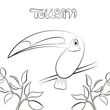 Toucan coloring page. Cute tropical bird sitting on a branch with leaves Stock Illustration