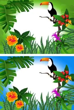 Toucan Frame Stock Illustration