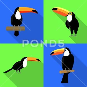 Toucan icons set, flat style Stock Illustration
