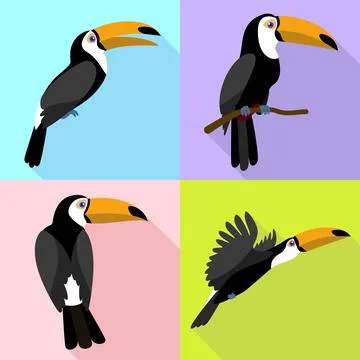 Toucan icons set, flat style Stock Illustration