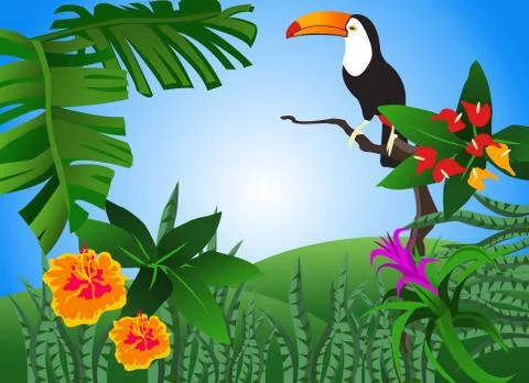 Toucan Stock Illustration