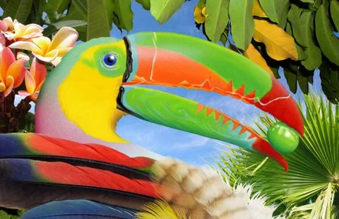 Toucan Stock Illustration
