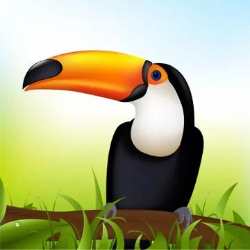 Toucan Stock Illustration