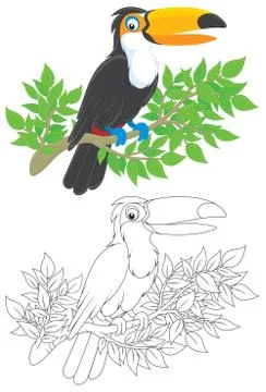 Toucan Stock Illustration
