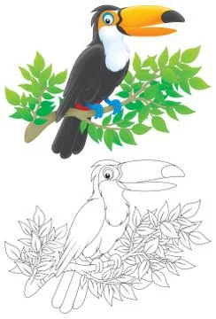 Toucan Stock Illustration